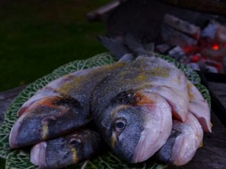 Na ognju pečena riba pomeni trpljenje Jezusa