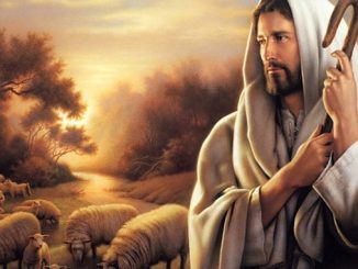 Nedelja Dobrega pastirja