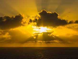 Kdor hoče biti prvi med vami, naj bo vsem služabnik