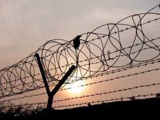 Teden zaporov 2021: Pomislite na vrane