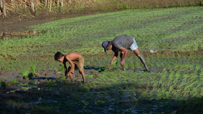 Najbolj donosna naložba človeštva je zaščita otroštva