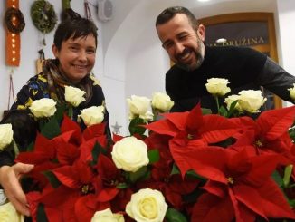 1200 slovenskih božičnih zvezd za Vatikan in Rim