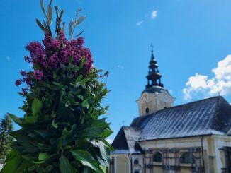 Obhajamo 6. nedeljo v postnem času ali cvetno nedeljo