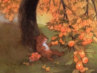 Z medvedkom na pot v Betlehem