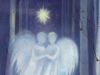 Z medvedkom na pot v Betlehem