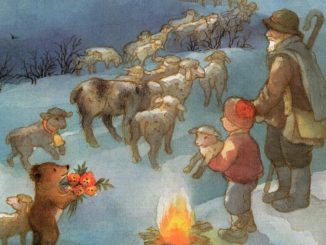 Z medvedkom na pot v Betlehem