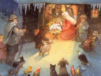 Z medvedkom na pot v Betlehem